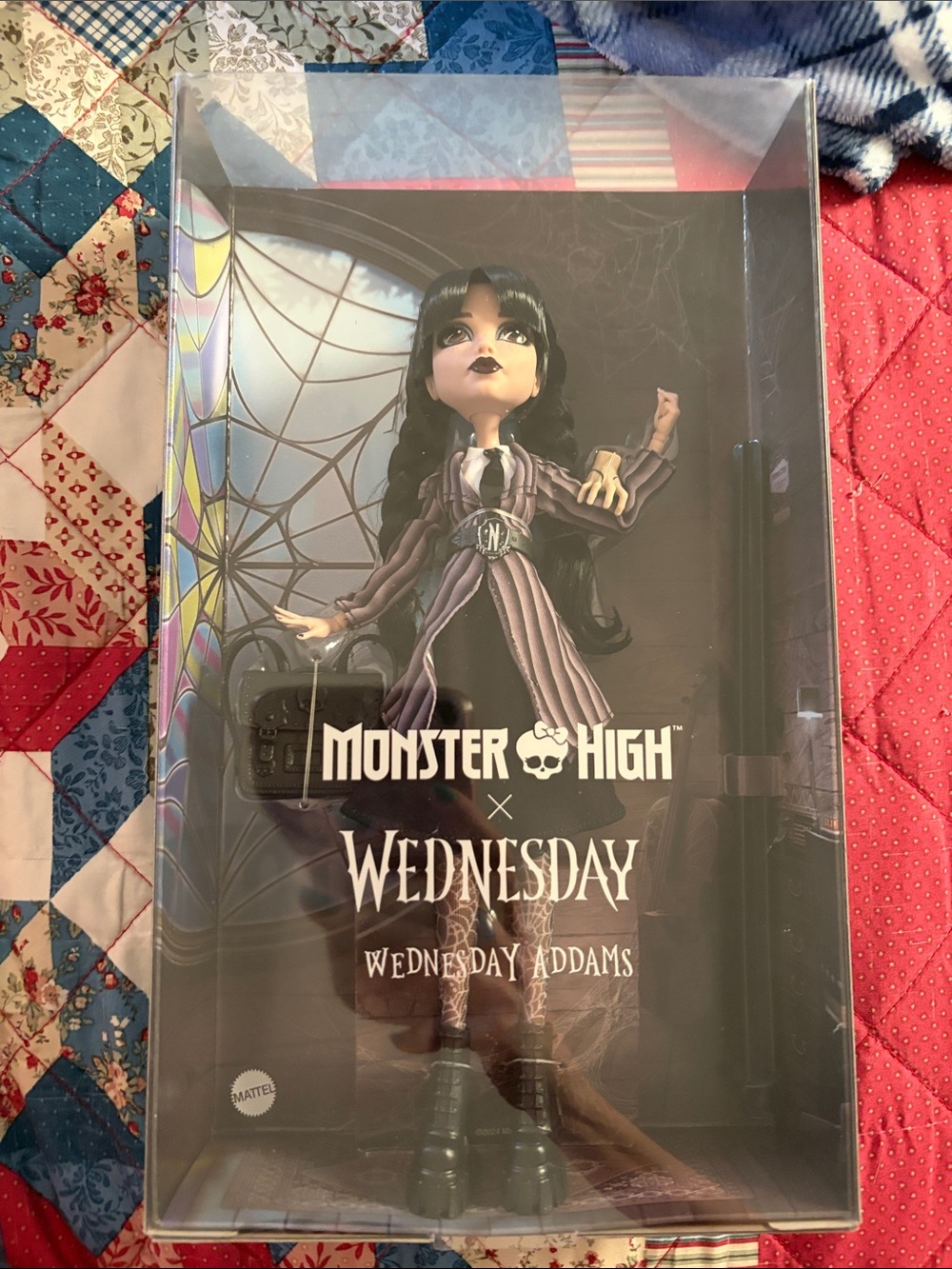 Monster High Wednesday Addams Doll(Read)
